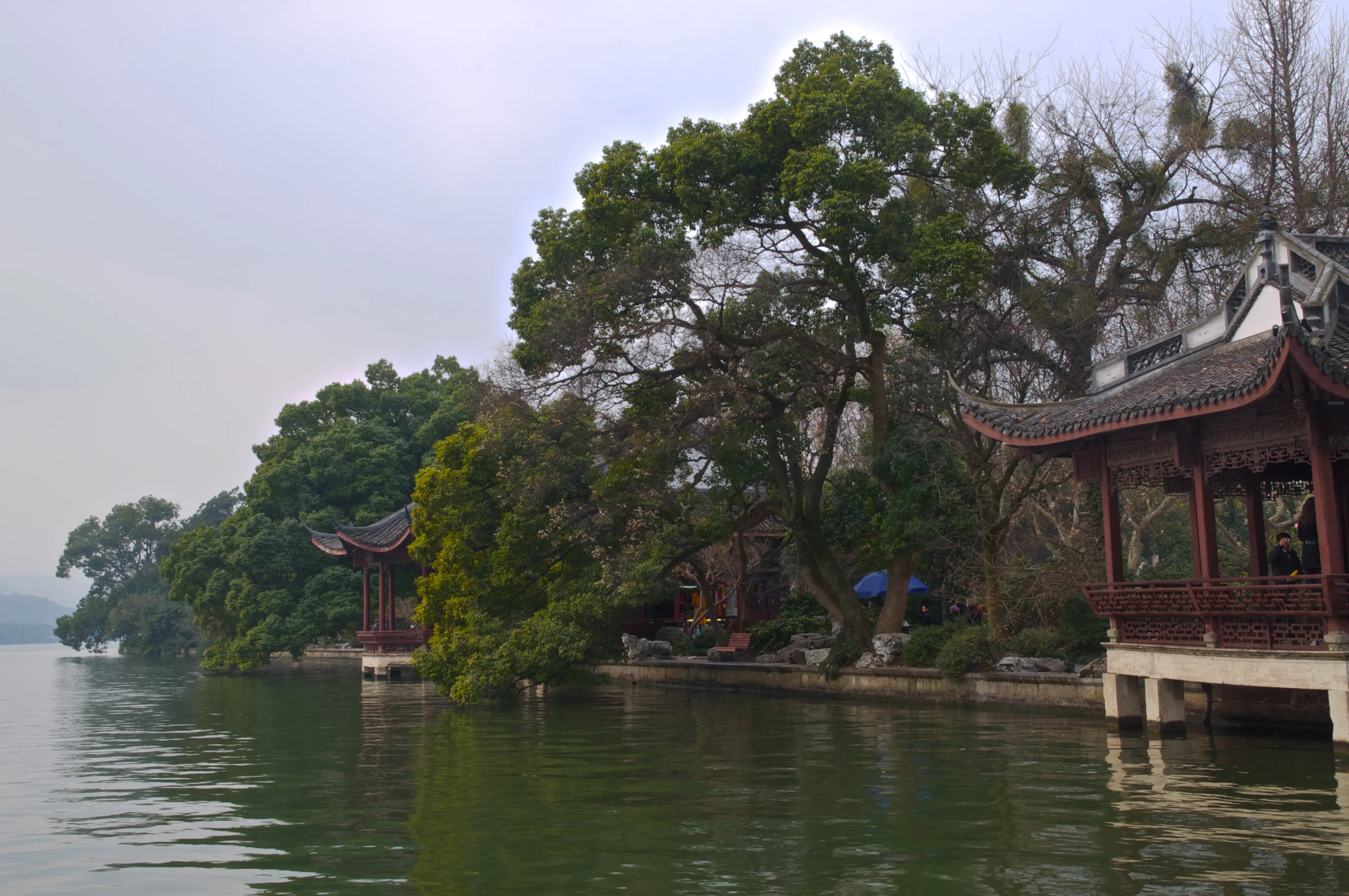 阴天的平湖秋月临水亭台,背后是孤山的树