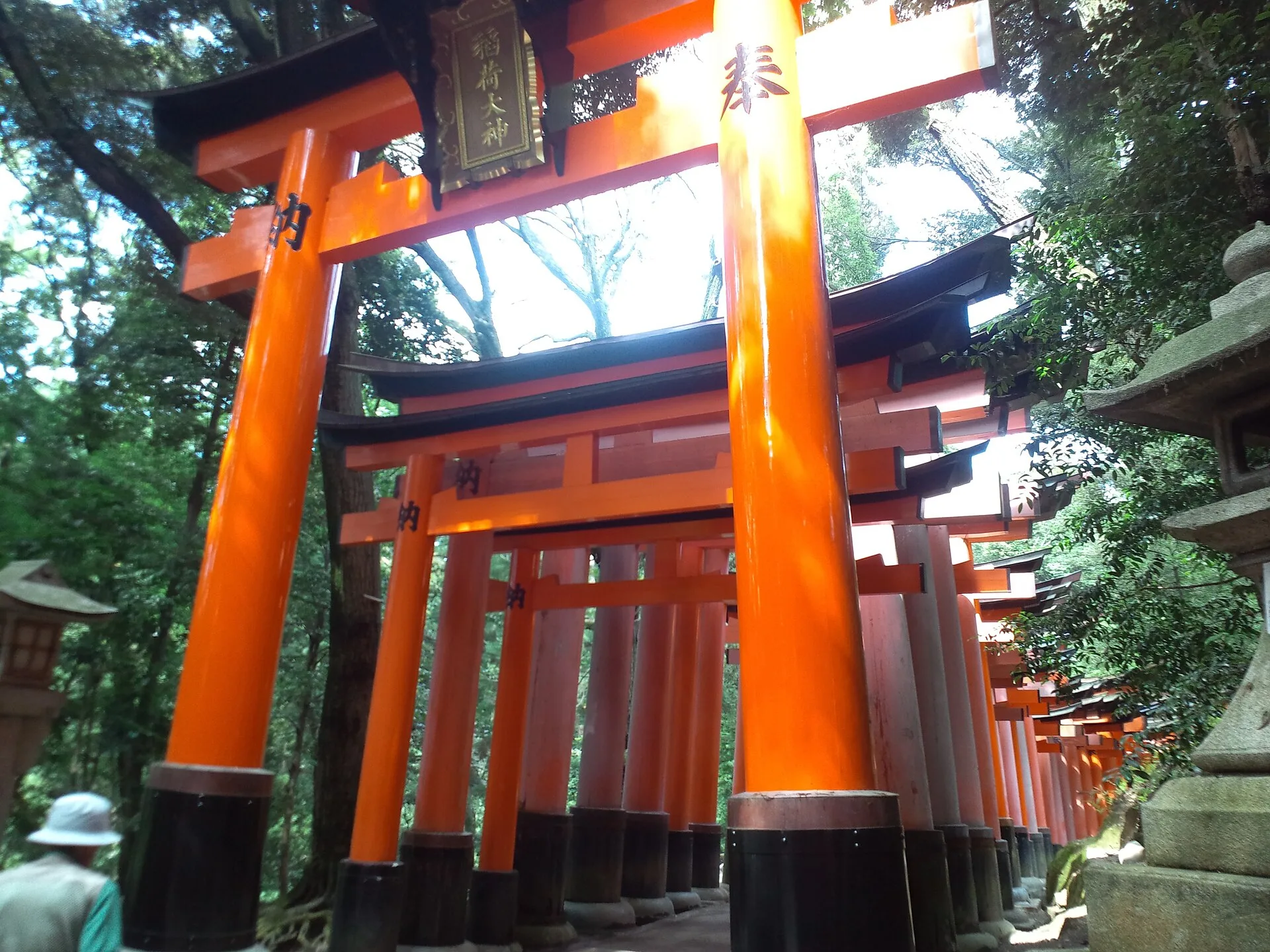 千本鸟居中层层相接的朱红色鸟居