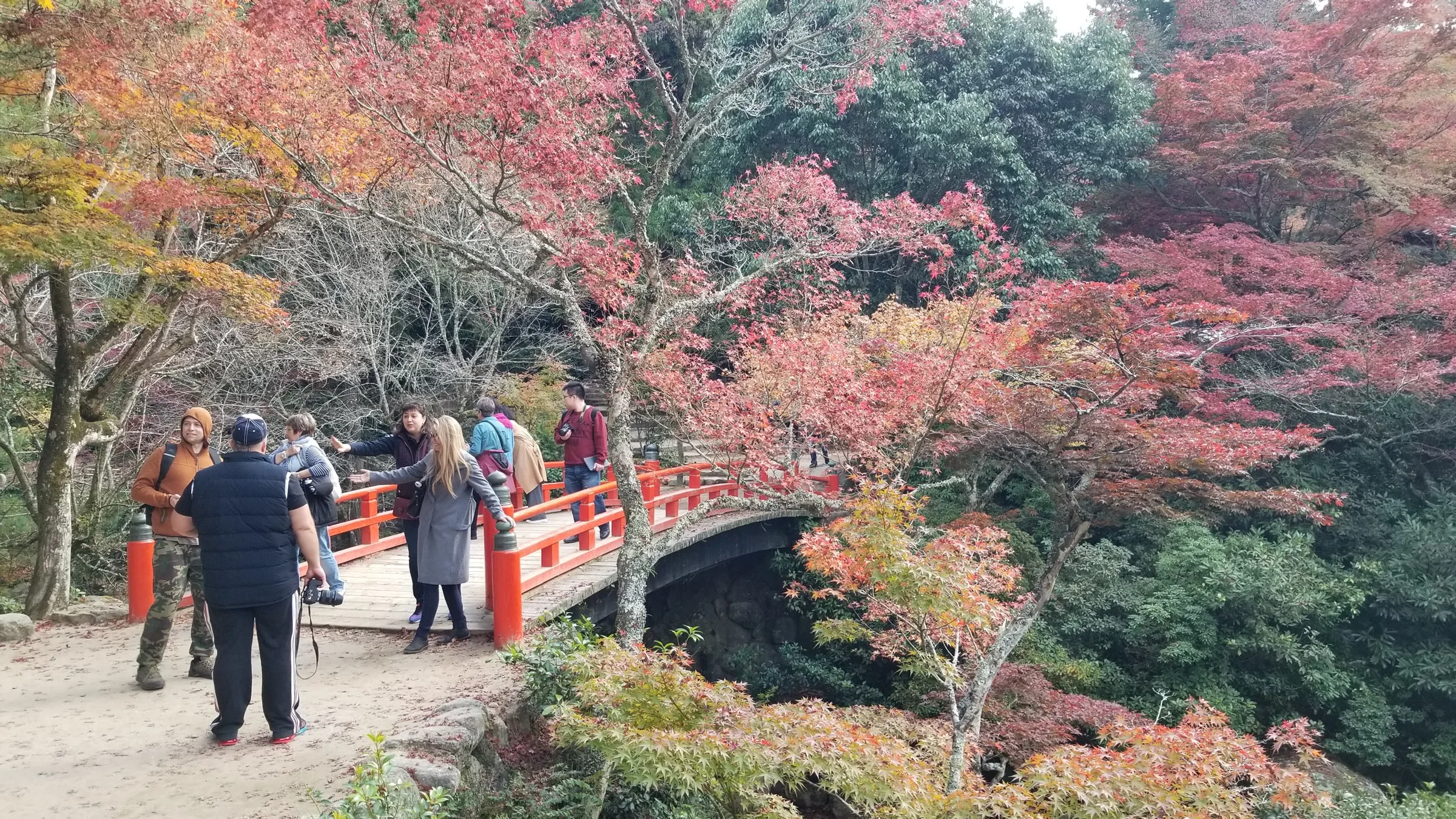 A vermilion bridge among autumn maples in Momijidani Park
