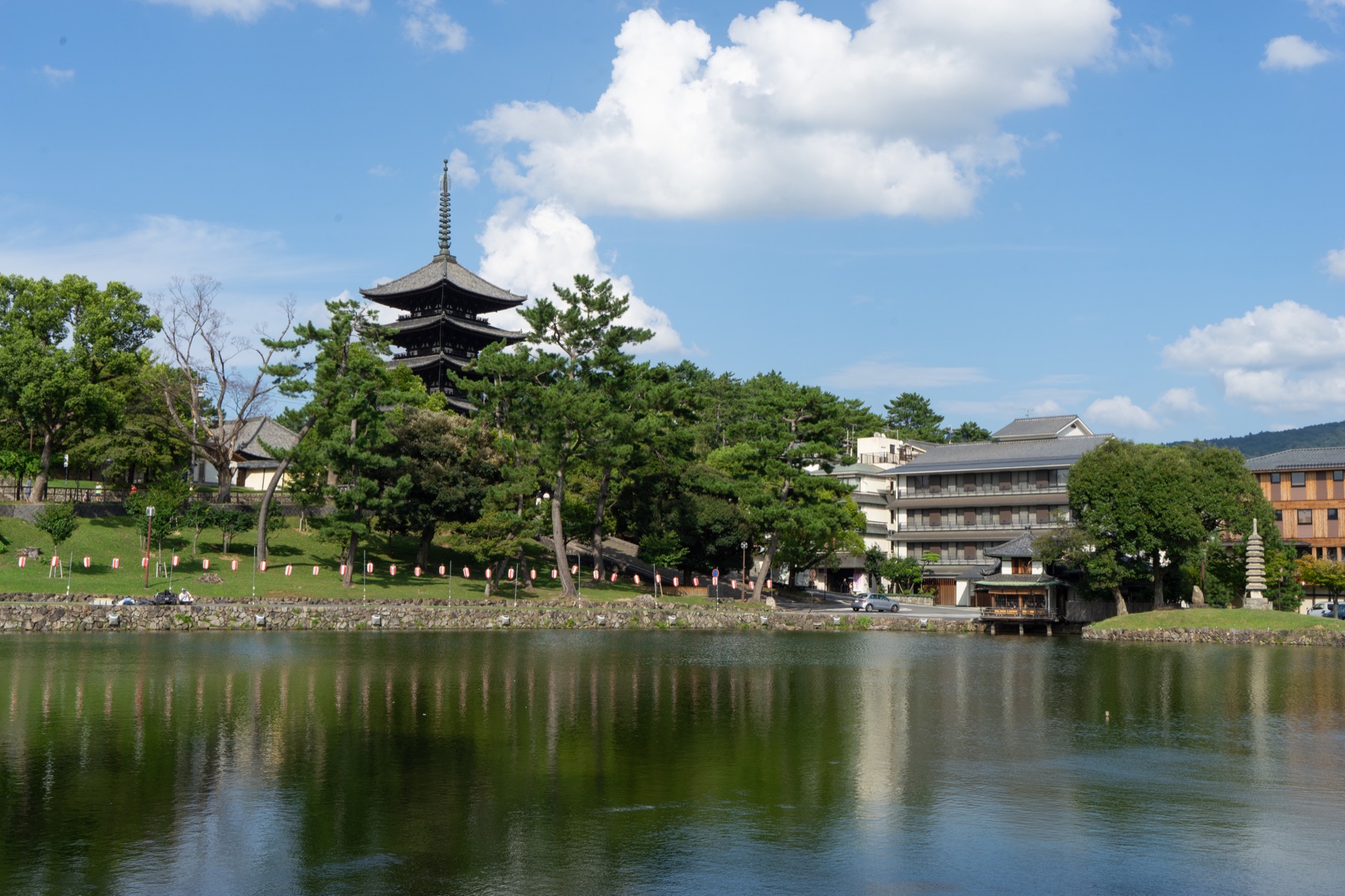 猿泽池水面、池畔树木与远处兴福寺五重塔