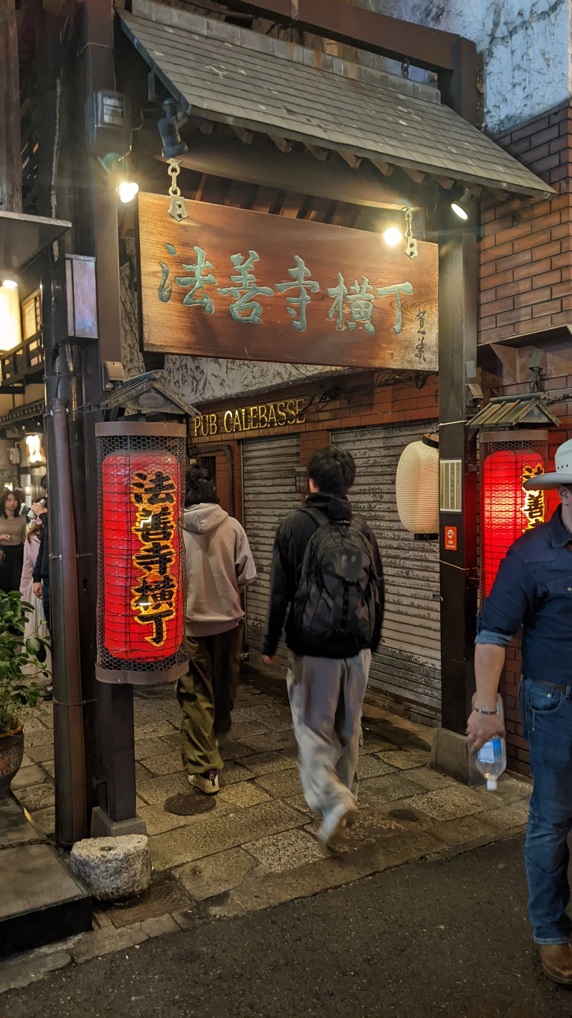Lanterns and the entrance to Hozenji Yokocho at night