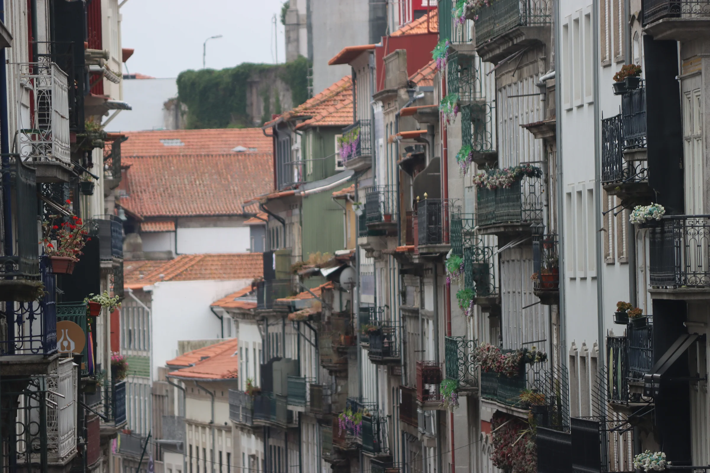 Balconies and façades lining Rua das Flores