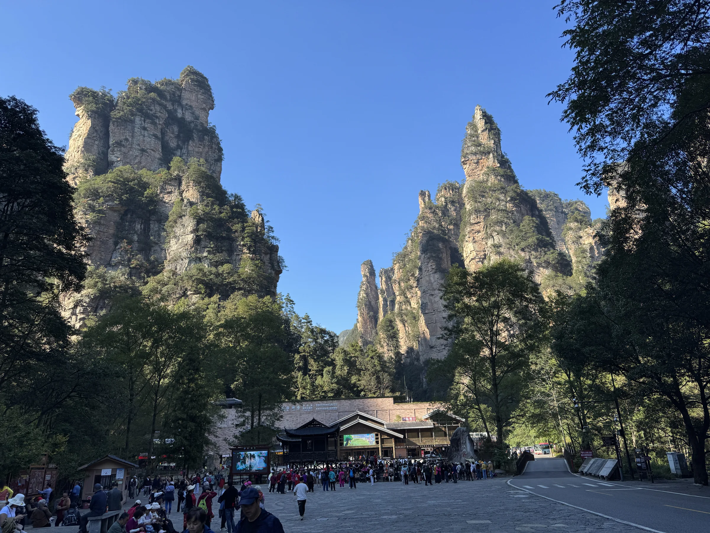 Sandstone cliffs and valley floor at the Water Winding Four Gates hub in Wulingyuan